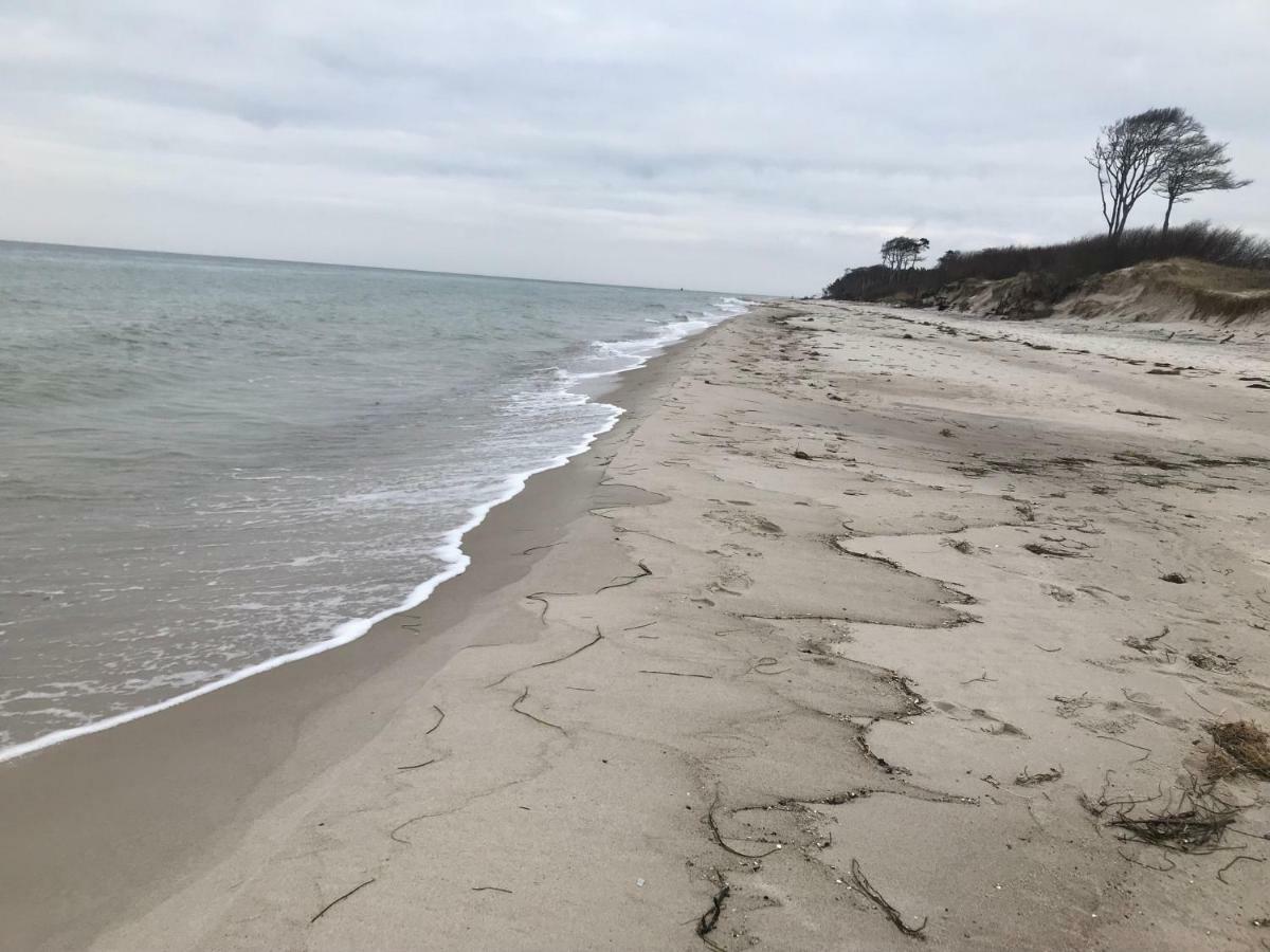 Zum Nordstrand プレロー エクステリア 写真